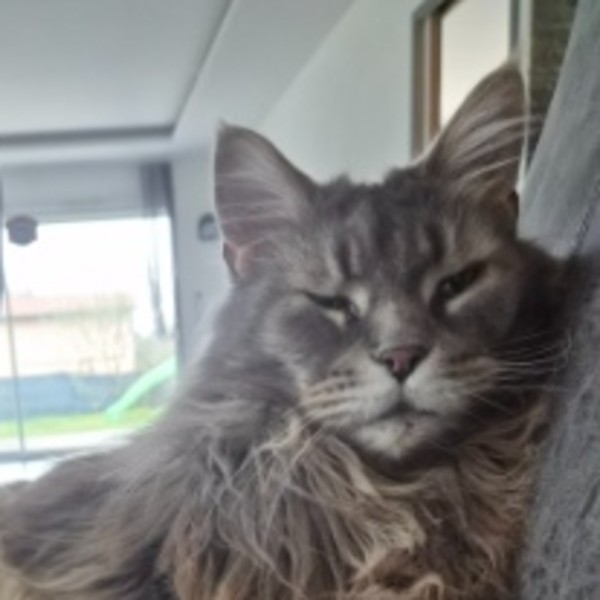 Photo de Isidor