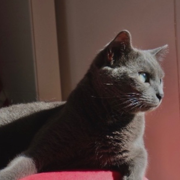 Nala