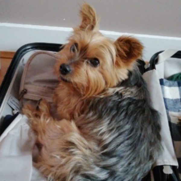 Photo de Lucky