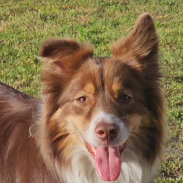 Photo de Tinni3