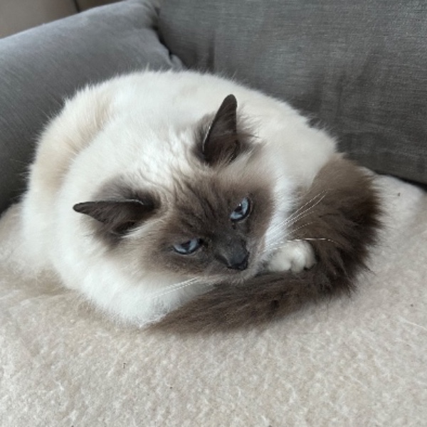 Photo de Charlotte, Chachou