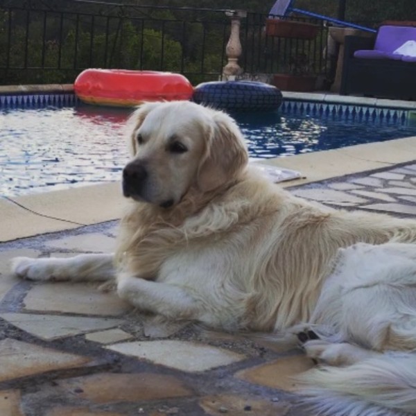 ELLIOT