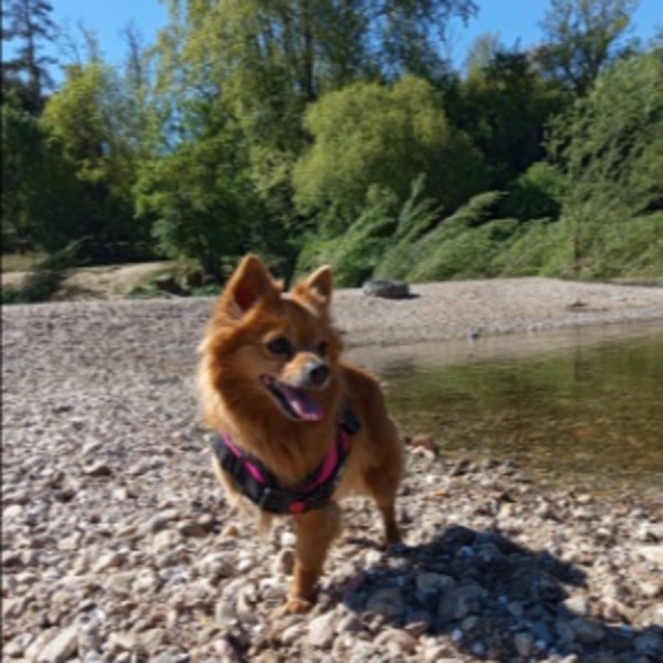 Lilou