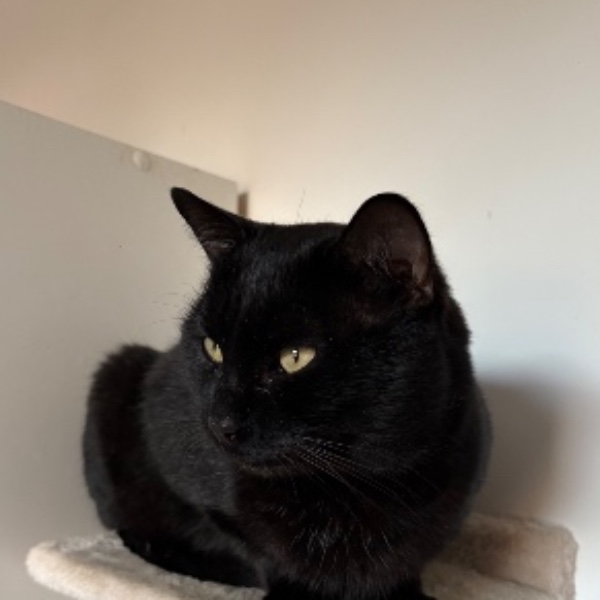 Mimi