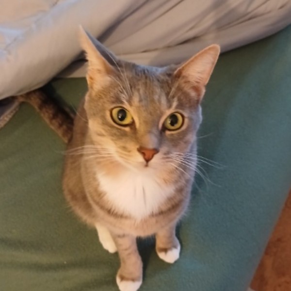 Photo de Gribouille