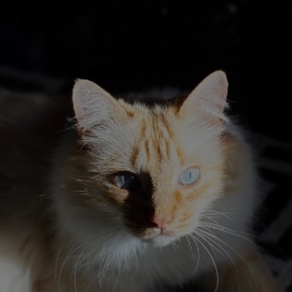 Ragnar