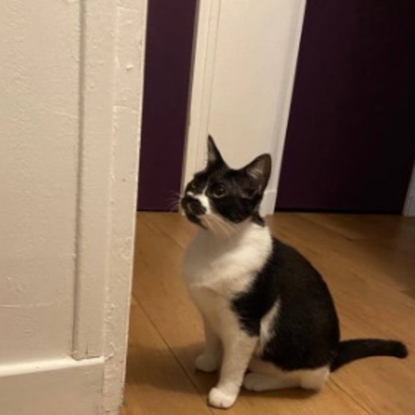 Photo de Minnie