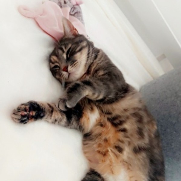 Photo de Mia