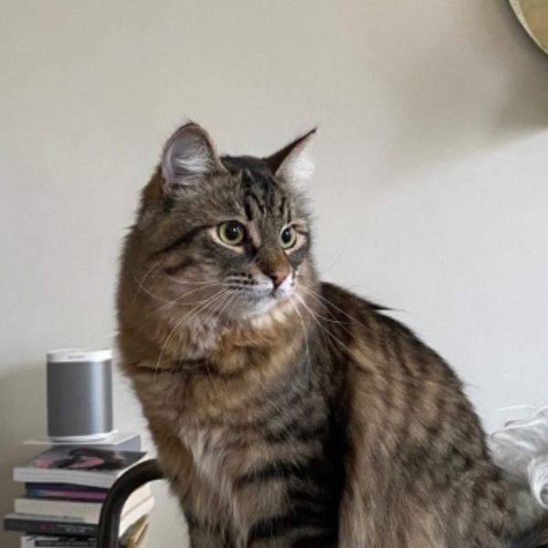 Saïko