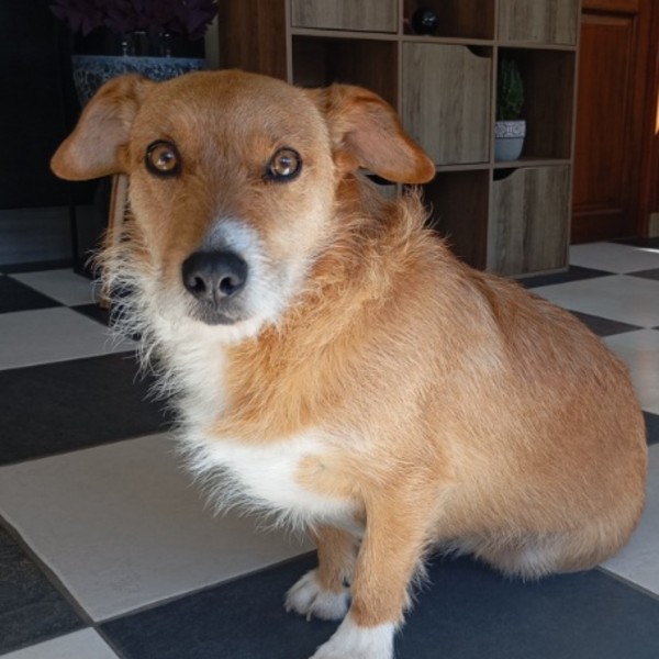 Photo de Fifi