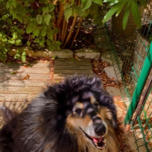 Prince