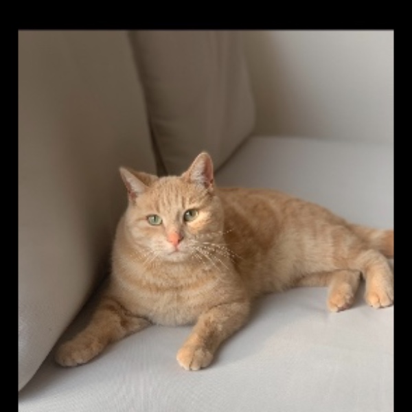 Photo de Rajah