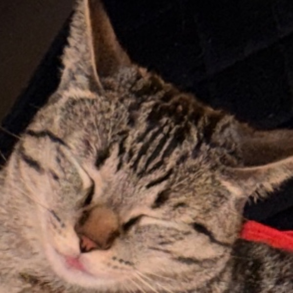 Photo de Boui boui
