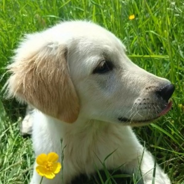 Photo de Bounty