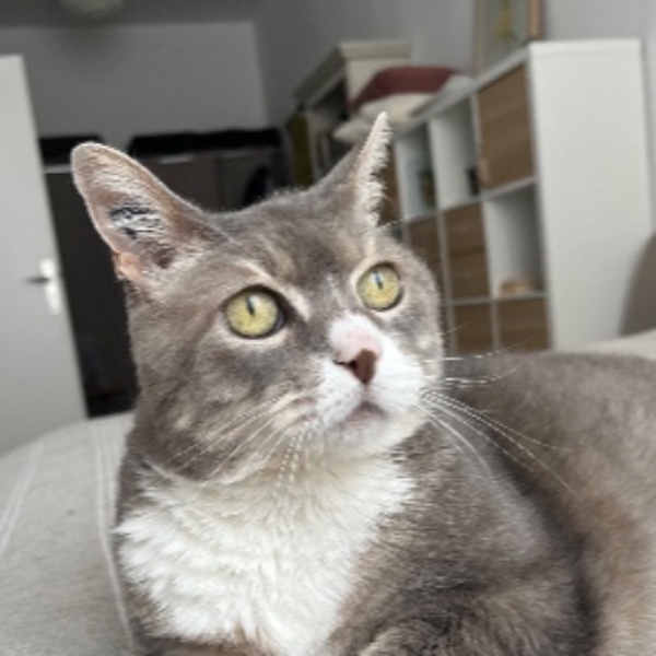 Photo de Angel