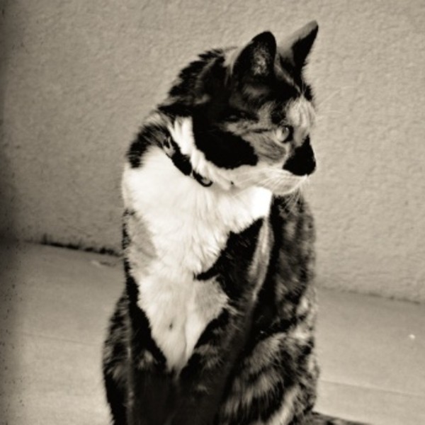 Photo de Carlita