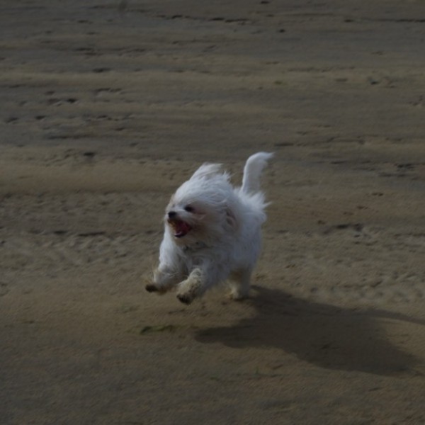 Photo de lolita