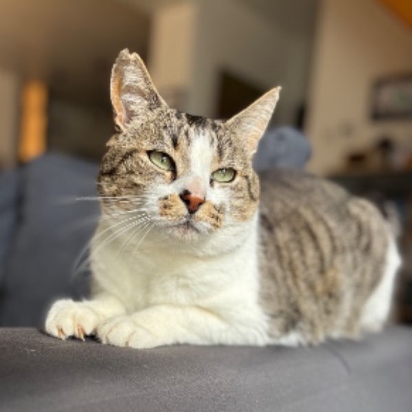 Meïko