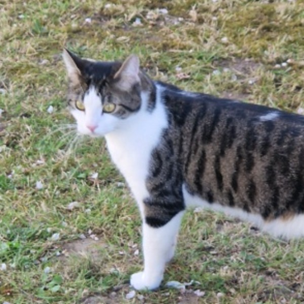 Photo de Calin