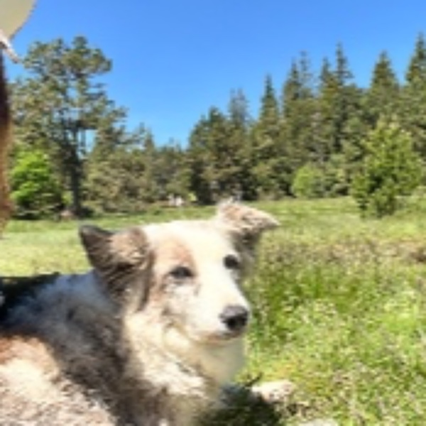 Photo de Baya