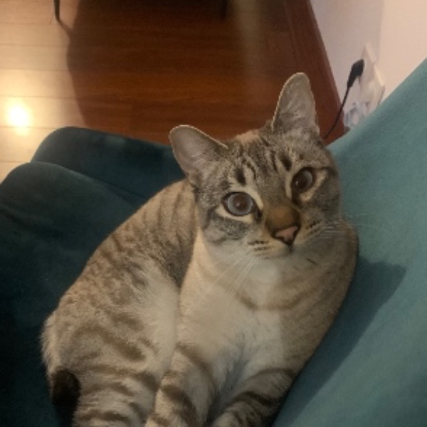 Photo de Guapa