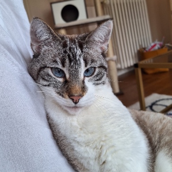 Photo de Miro