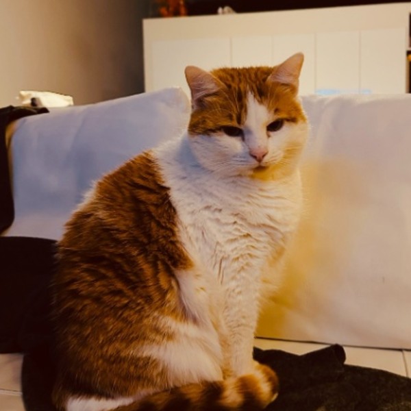 Photo de René