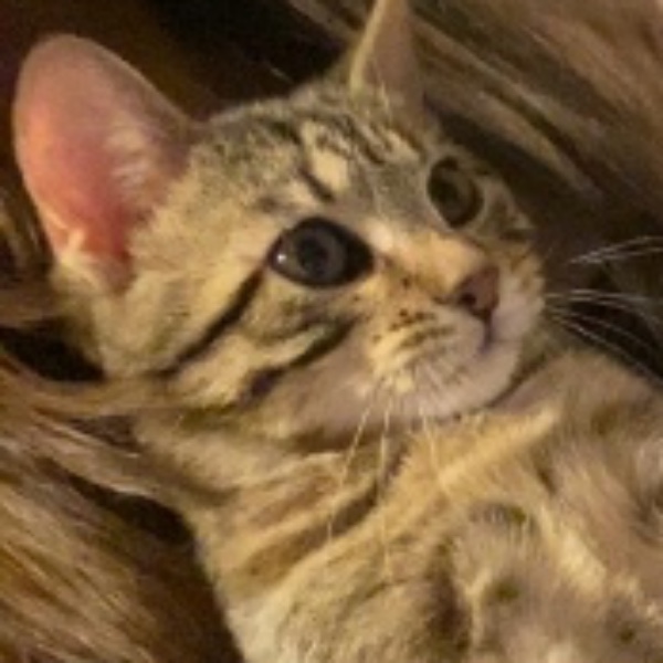 Photo de Mabel
