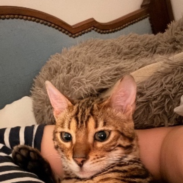 Photo de Boris