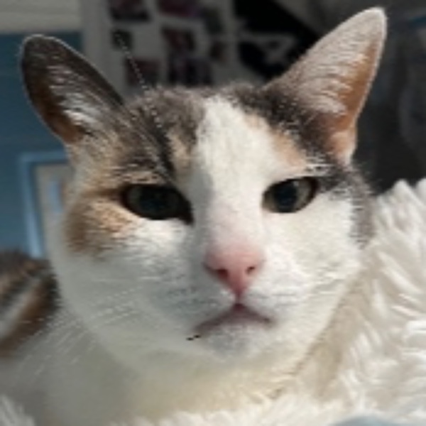 Caramel