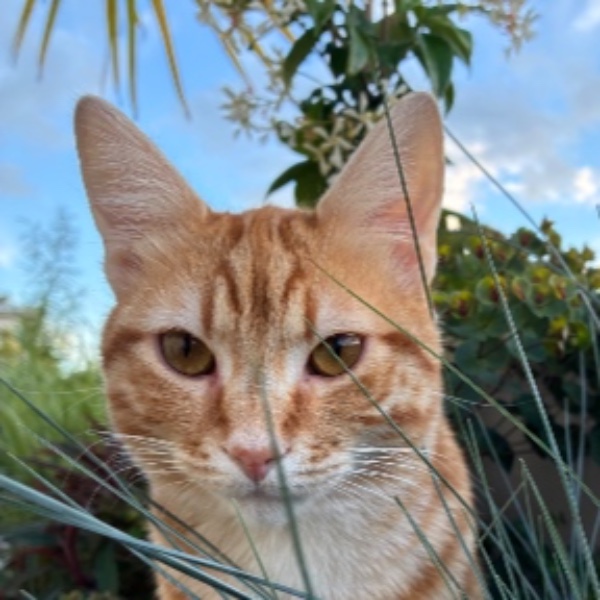 Photo de Rio