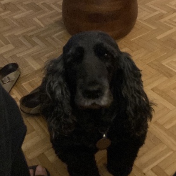 Photo de Ozzy