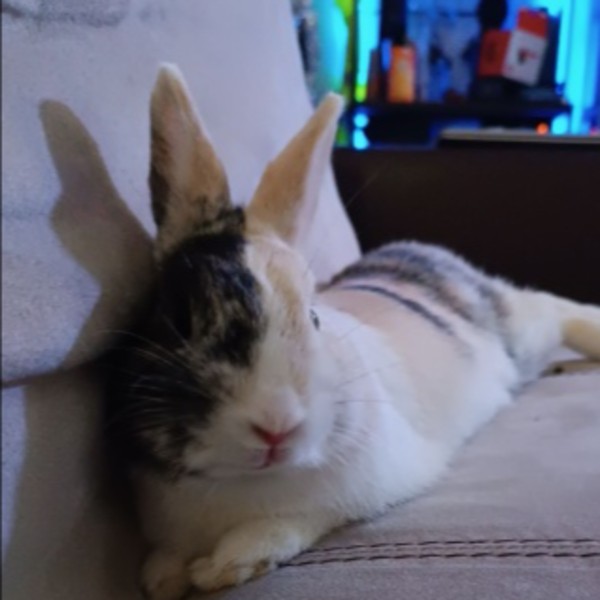 Sam