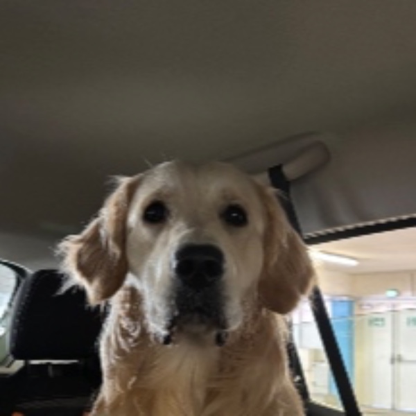 Milo