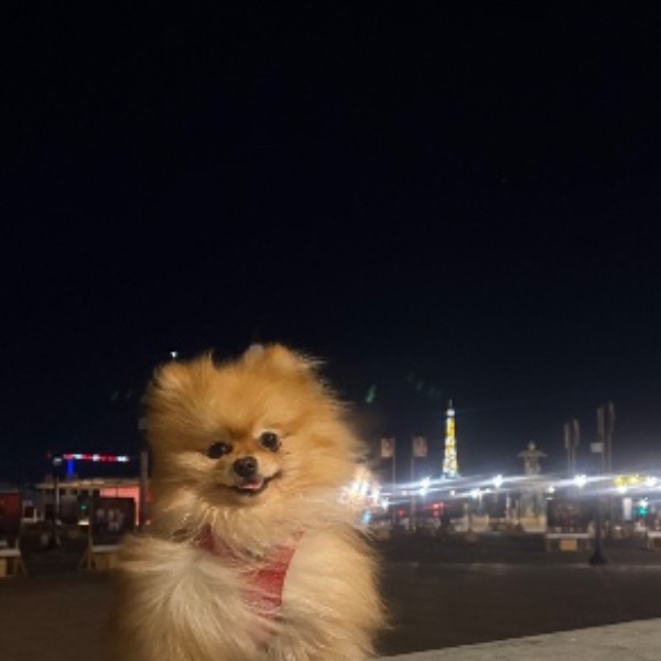 Photo de Nounours