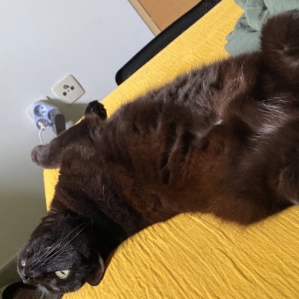 Fluffy