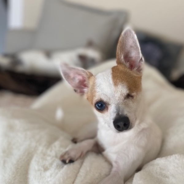 Billy
