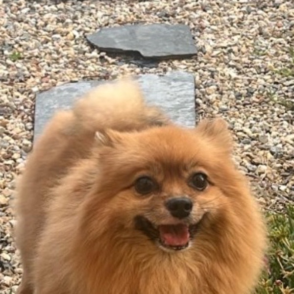 Mika