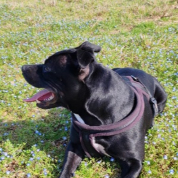 Photo de Oscar