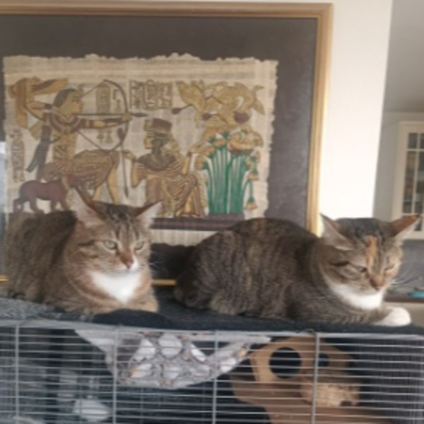 Isis & Nephtys