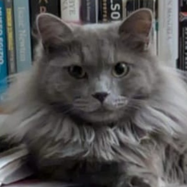 Photo de Smoky