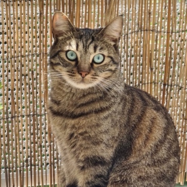 Photo de Kiara