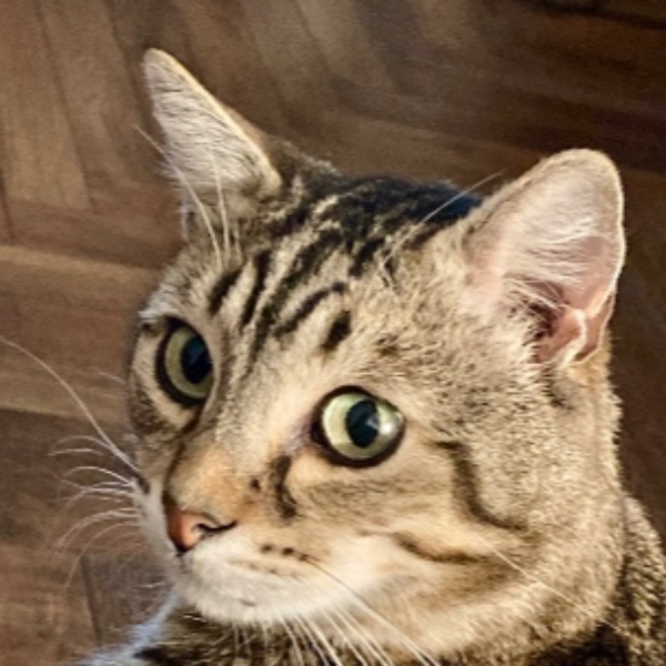 Photo de Buster