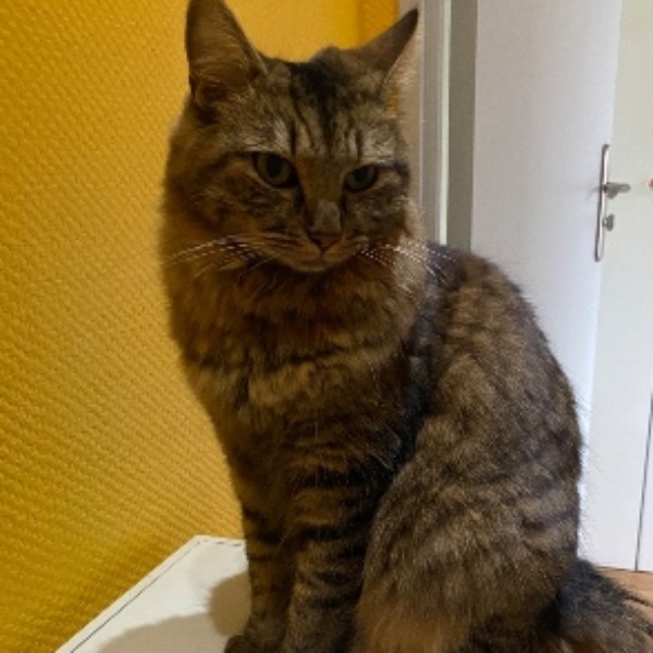 Photo de Mimi