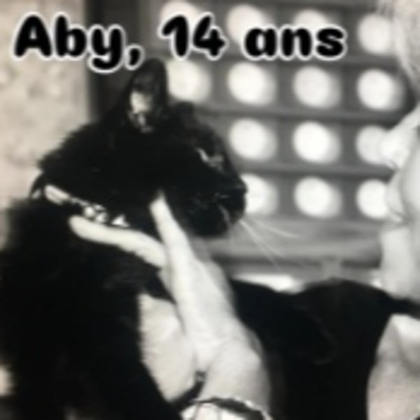 Aby
