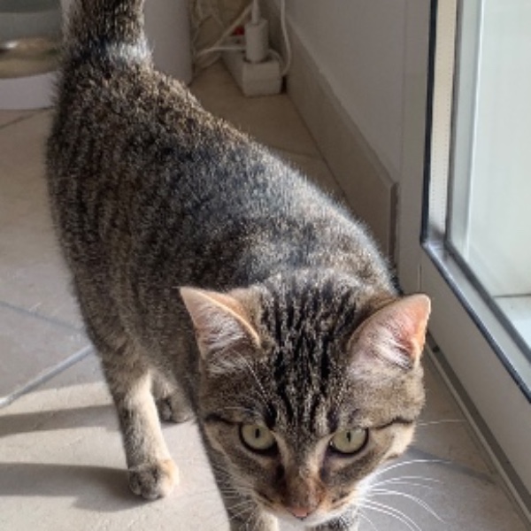 Photo de Ziggy