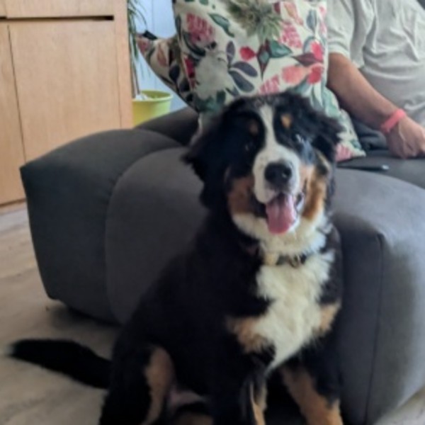Bella