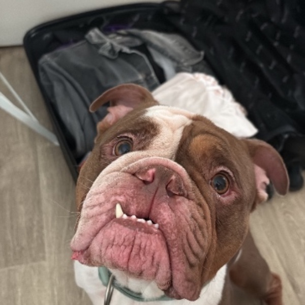 Owen