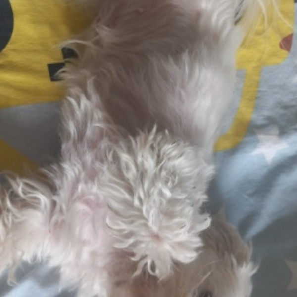 Photo de Walya