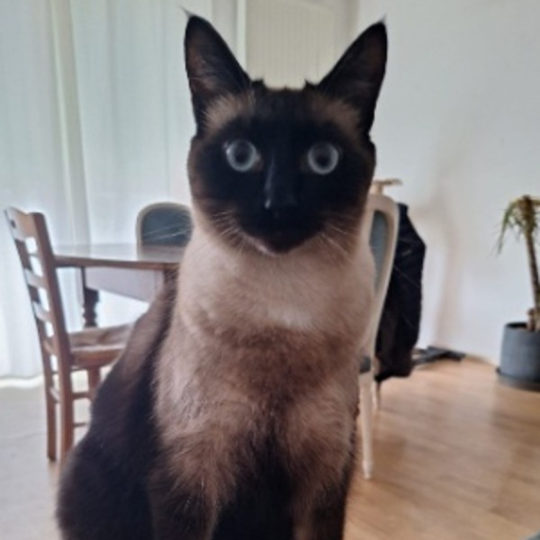 Photo de Eros